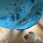 腹部流血！Tシャツ血まみれでした